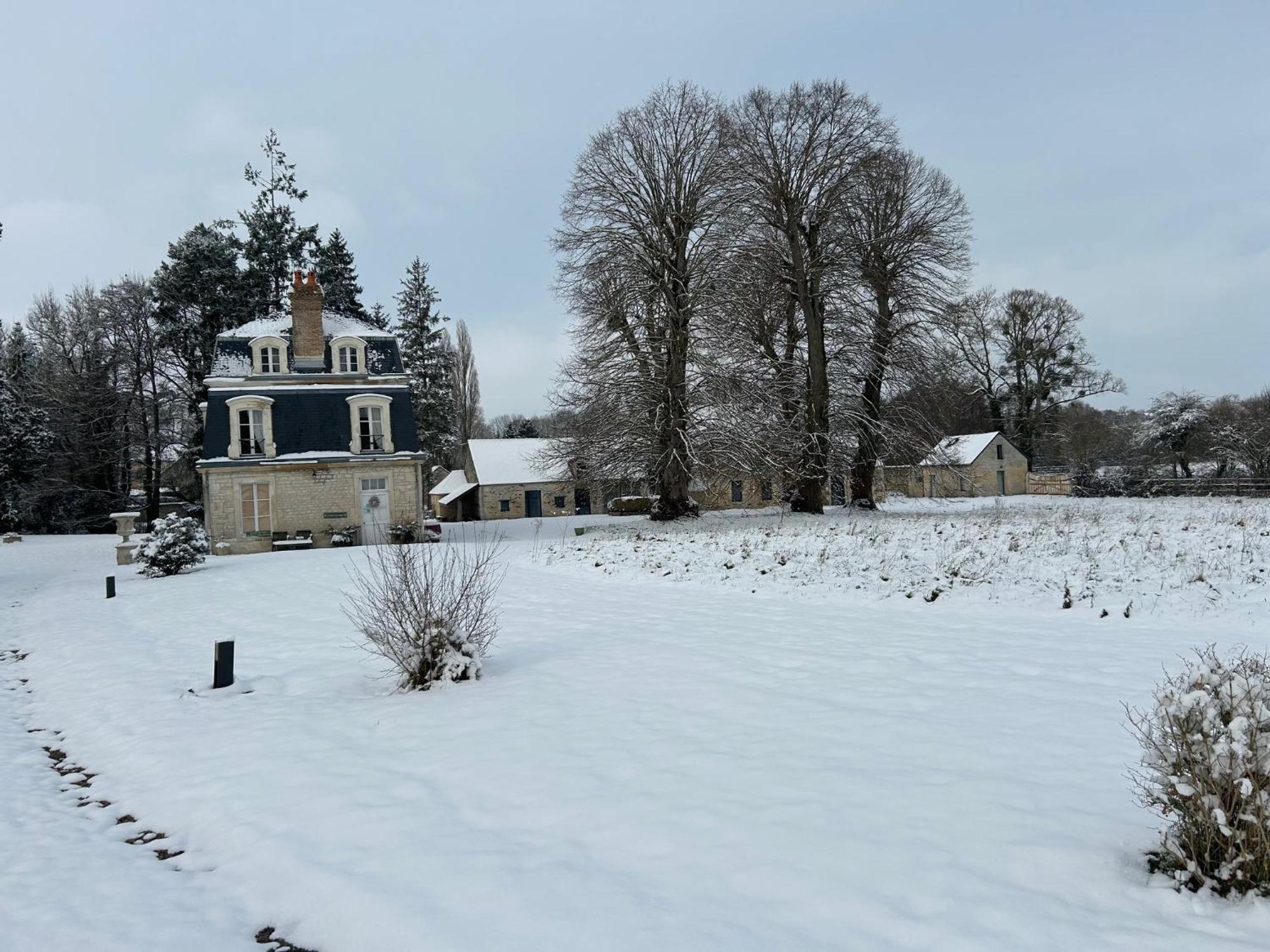 Bed and Breakfast Le Manoir Du Ribardon Neuvy-au-Houlme Exterior foto