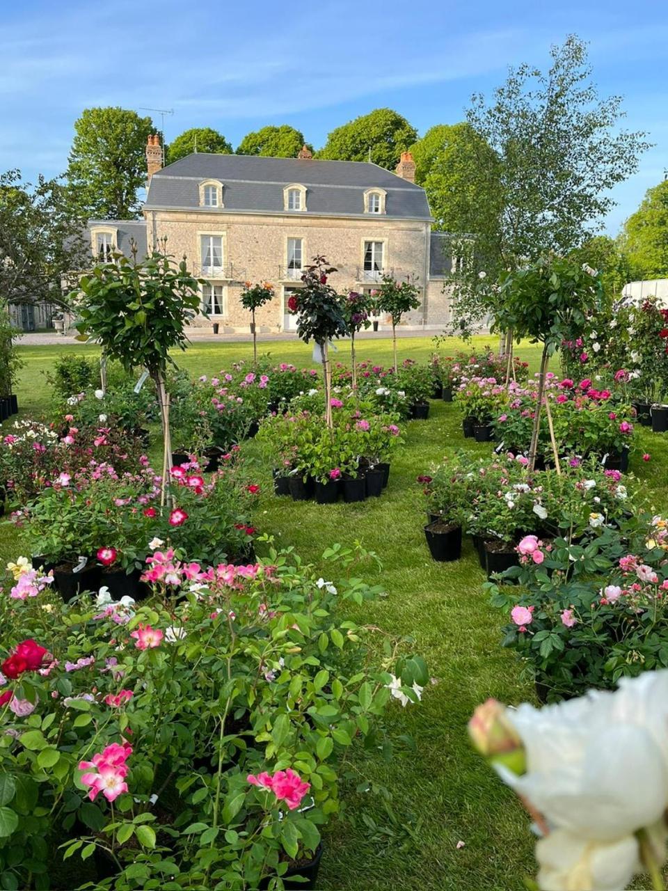 Bed and Breakfast Le Manoir Du Ribardon Neuvy-au-Houlme Exterior foto